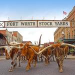 Fort Worth Stockyards