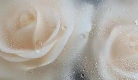 The Wedding Website of Ashle Harley and Marcel Barrett