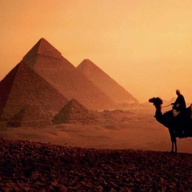 Honeymoon in Egypt & London
