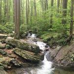 Frederick Municipal Forest