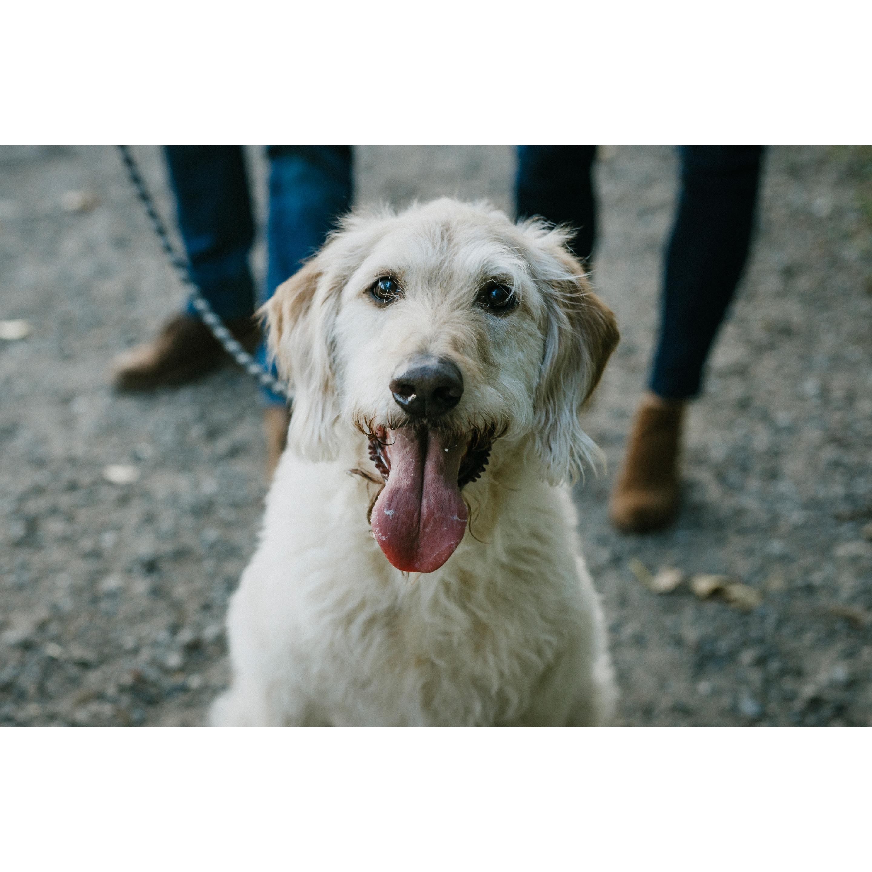 Cooper