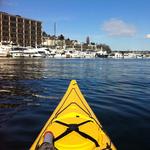 Explore Seattle's lakes and bays