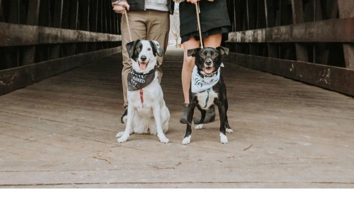 The Wedding Website of Caitlin Lundsten and Michael Wright