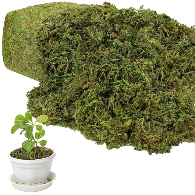 YUNVI 17.6 OZ Large Capacity Artificial Moss for Potted Plants,Natural Fake Moss Grass for Plants Indoor,Craft and Greenery Bulk for Hamsters(Fresh Green)