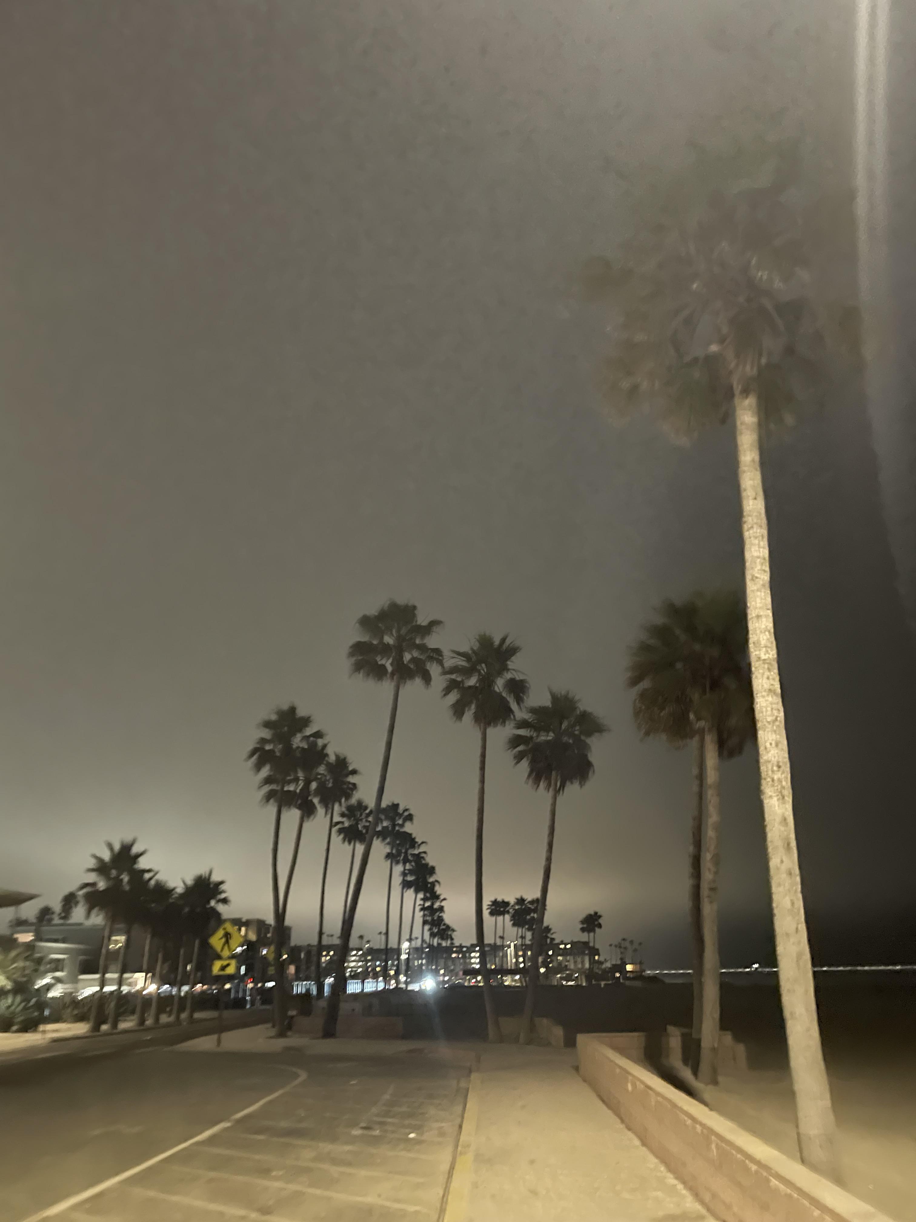 The Wedding Website of Kiana Kaohelaulii and Jeffrey Swall