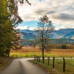 Cades Cove Scenic Loop