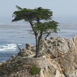 17 Mile Drive