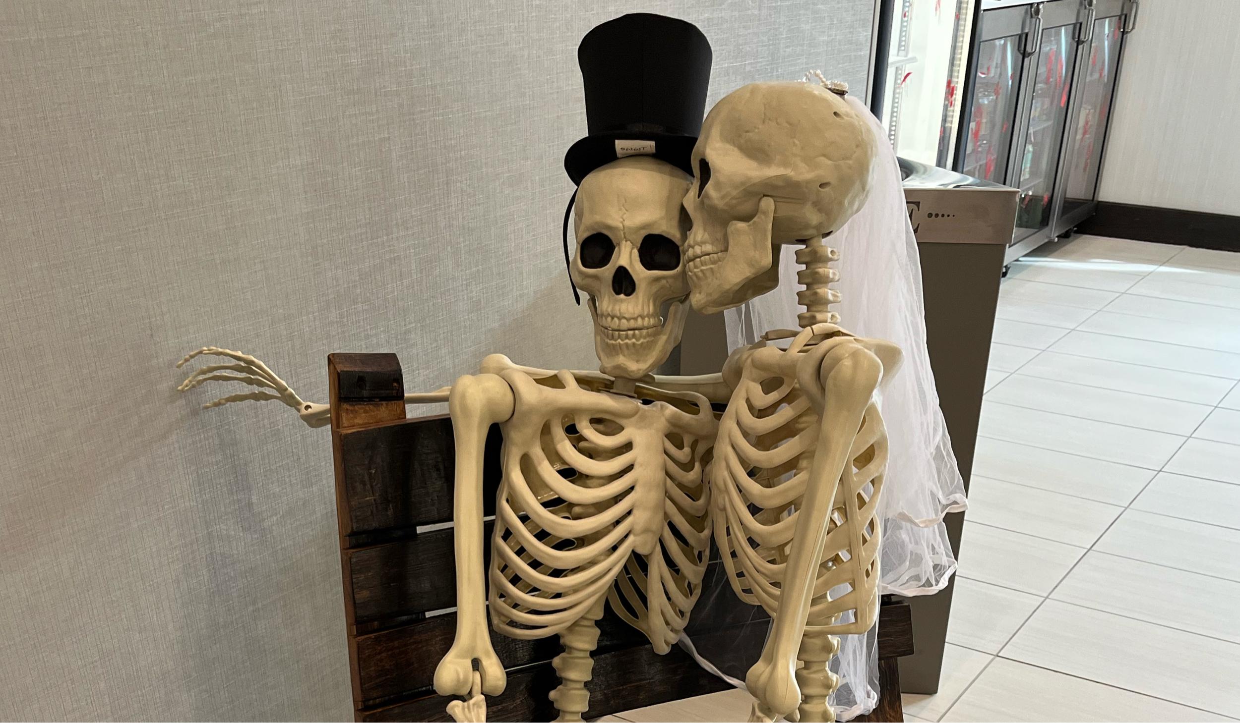 The Wedding Website of Serena Fae Nelson and Patrick Avery Hanlin