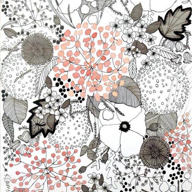 Framed 8 1/2" x 11" Botanical Drawing