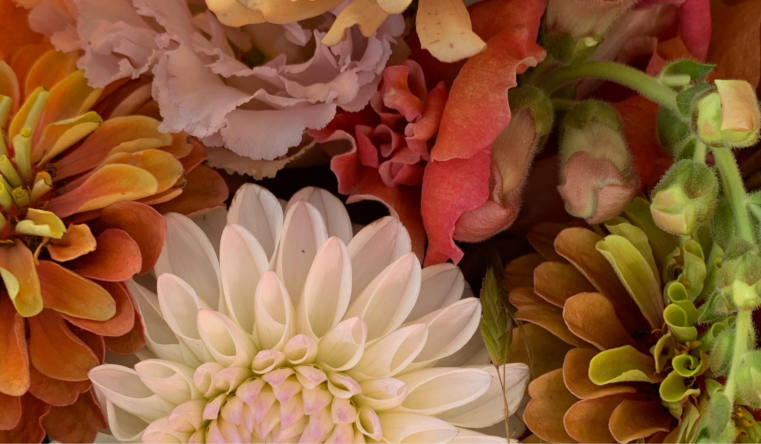 The Wedding Website of Caroline Walden and Cole Akers