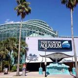 The Florida Aquarium