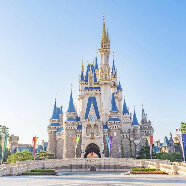 Disneyland Tokyo - one day tickets