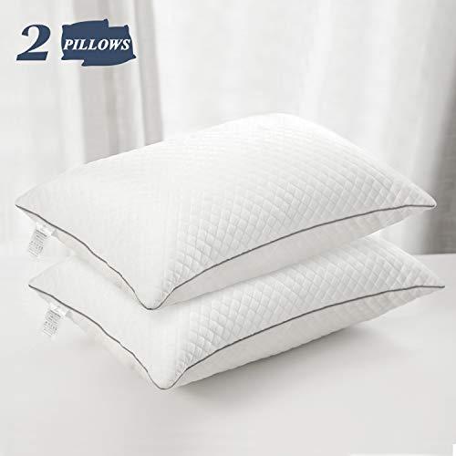 GOHOME Adjustable Bed Pillows for Sleeping 2 Pack, Soft Velvet Fabric Hotel Pillows, Hypoallergenic Down Alternative Pillows for Side and Back Sleeper, 20"x30" Queen Size