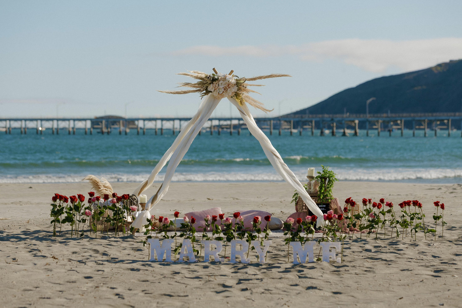 The Wedding Website of Desiree McIntyre and Kevin McGuire