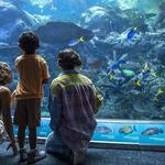 Aquarium of the Pacific