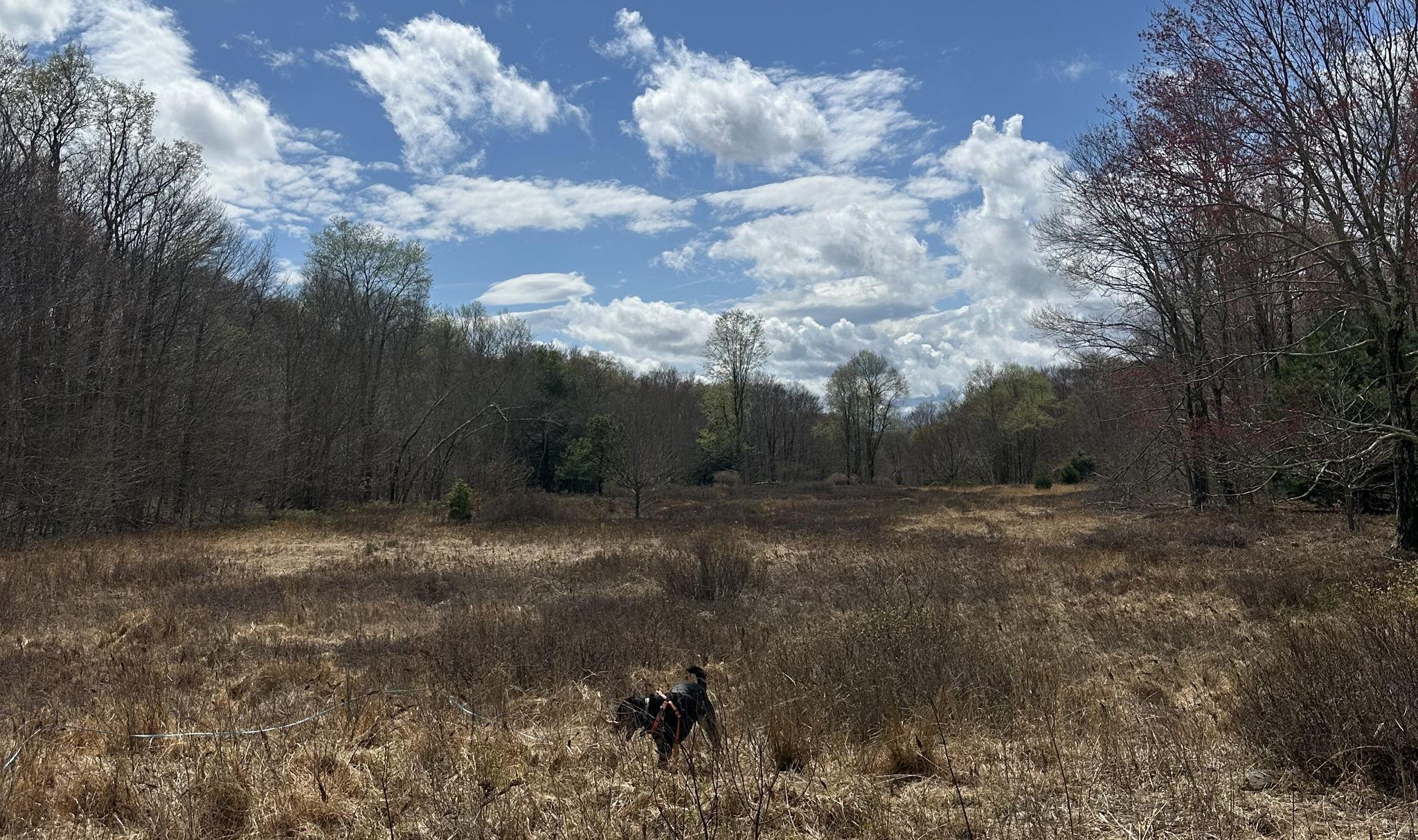 The Wedding Website of Hadley Wiktor and Joey Gerace