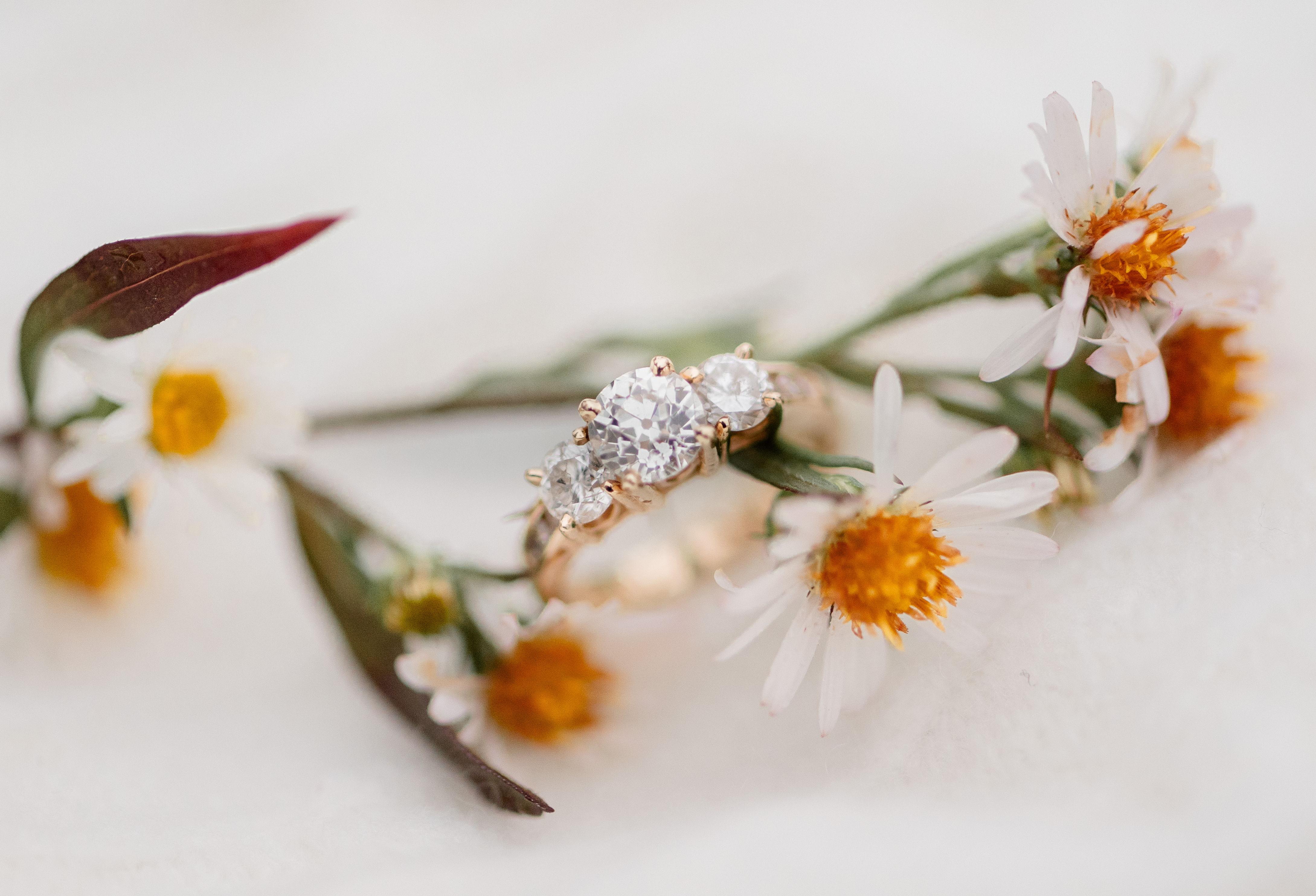 The Wedding Website of Megan Avery and Zach Shugart