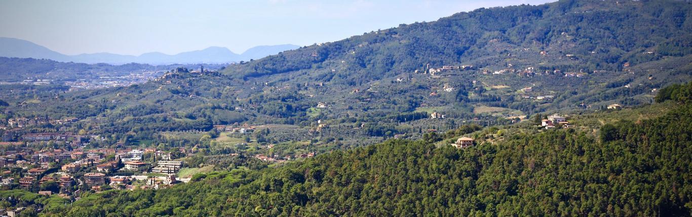 The Wedding Website of Megan McFeron and Michael Mahoney