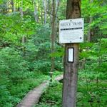 Hike the Bruce Trail & More