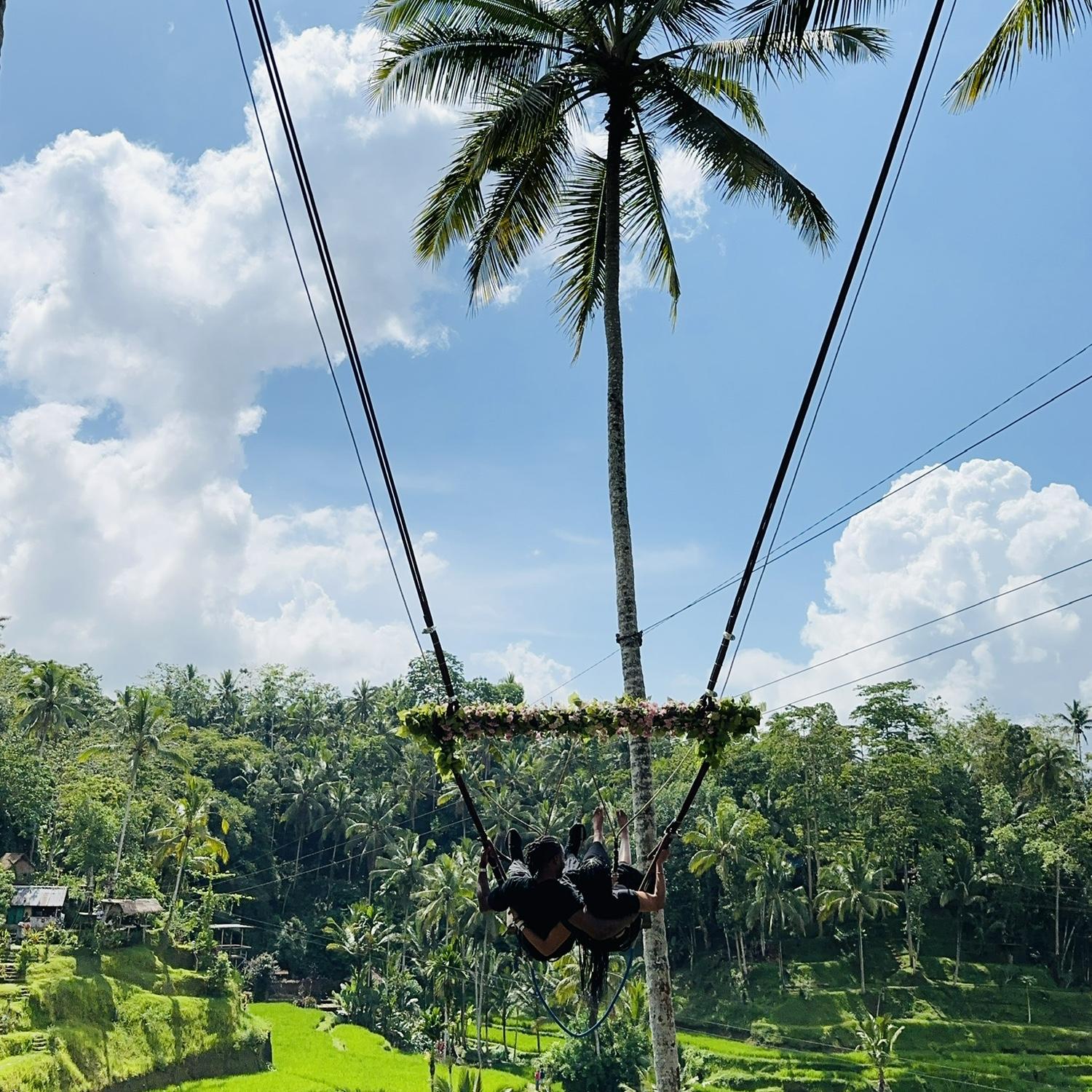 Swinging over rice fields in Bali