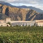 Winery Recommendations/Bodegas