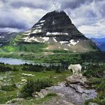 Hiking Glacier National Park