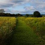 Norman Bird Sanctuary