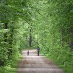 Independence Oaks County Park