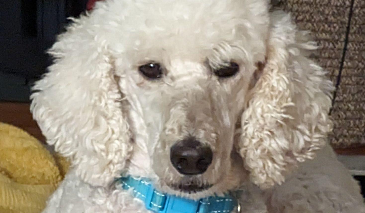 Hero Slideshow Image 1