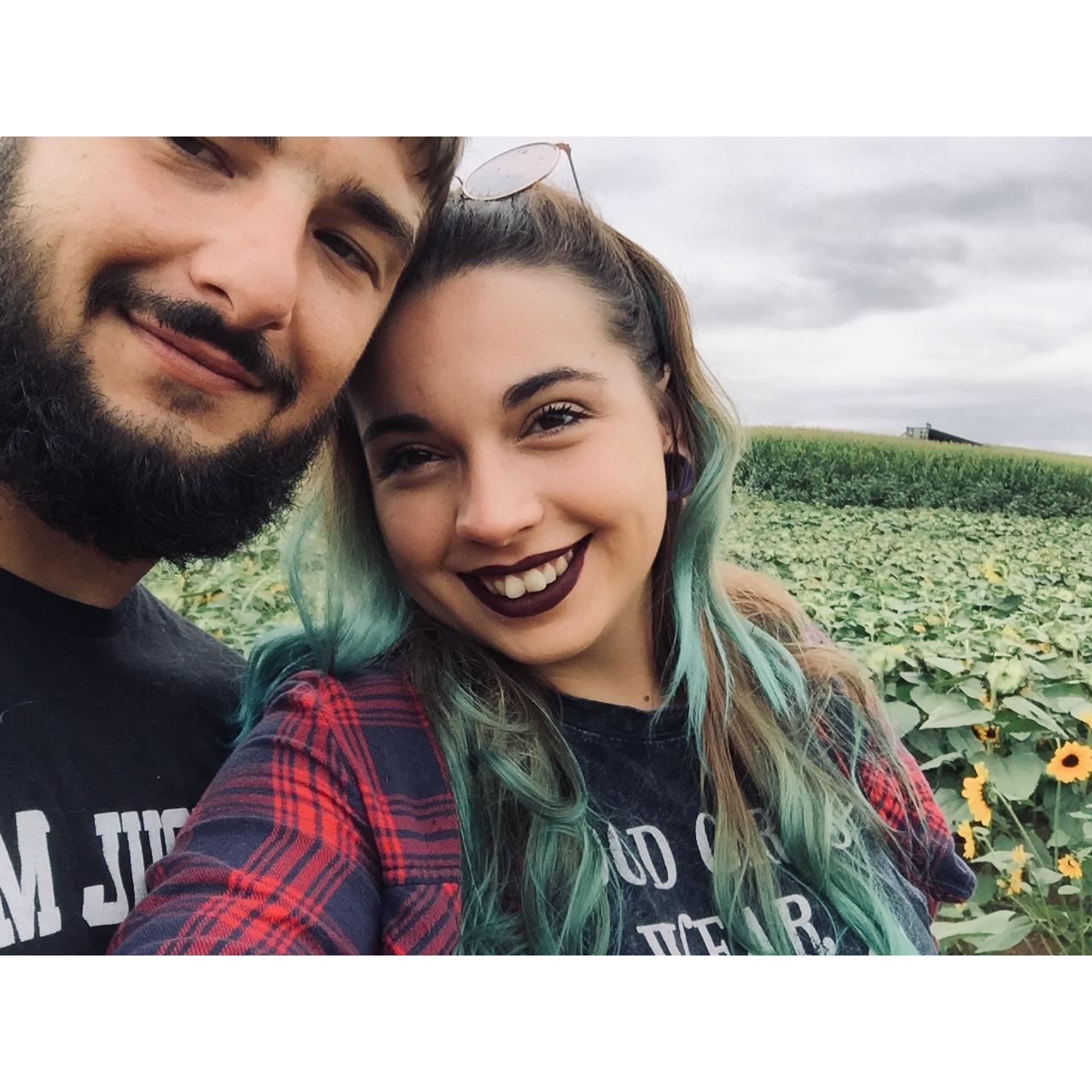 Sunflower festival 2019
