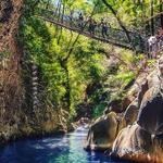 Parque Nacional Rincón de la Vieja Tour