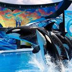 SeaWorld Orlando