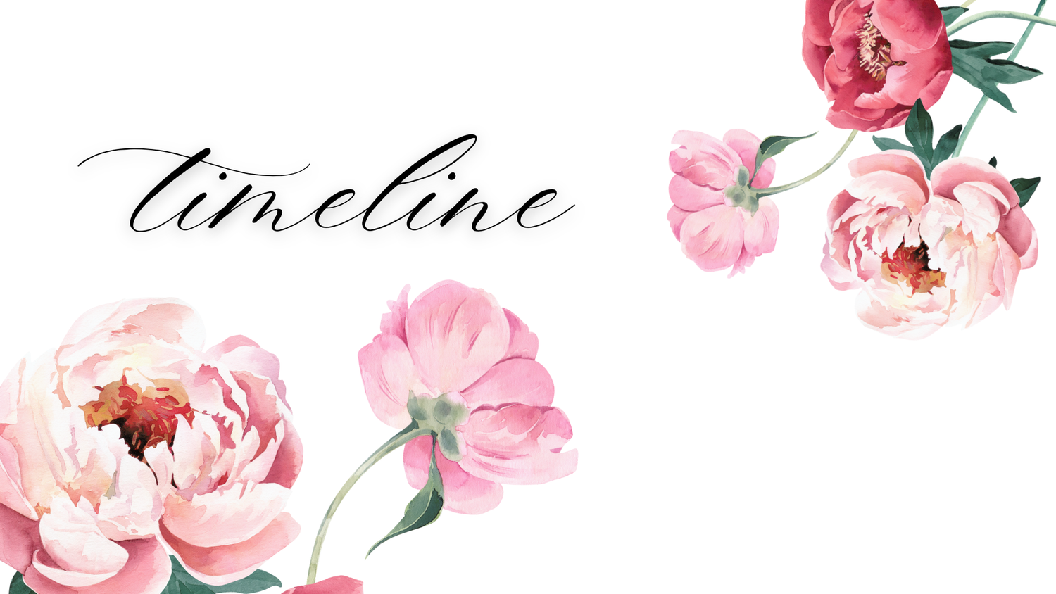 The Wedding Website of Hunter Chamberlain and Davis Whitney