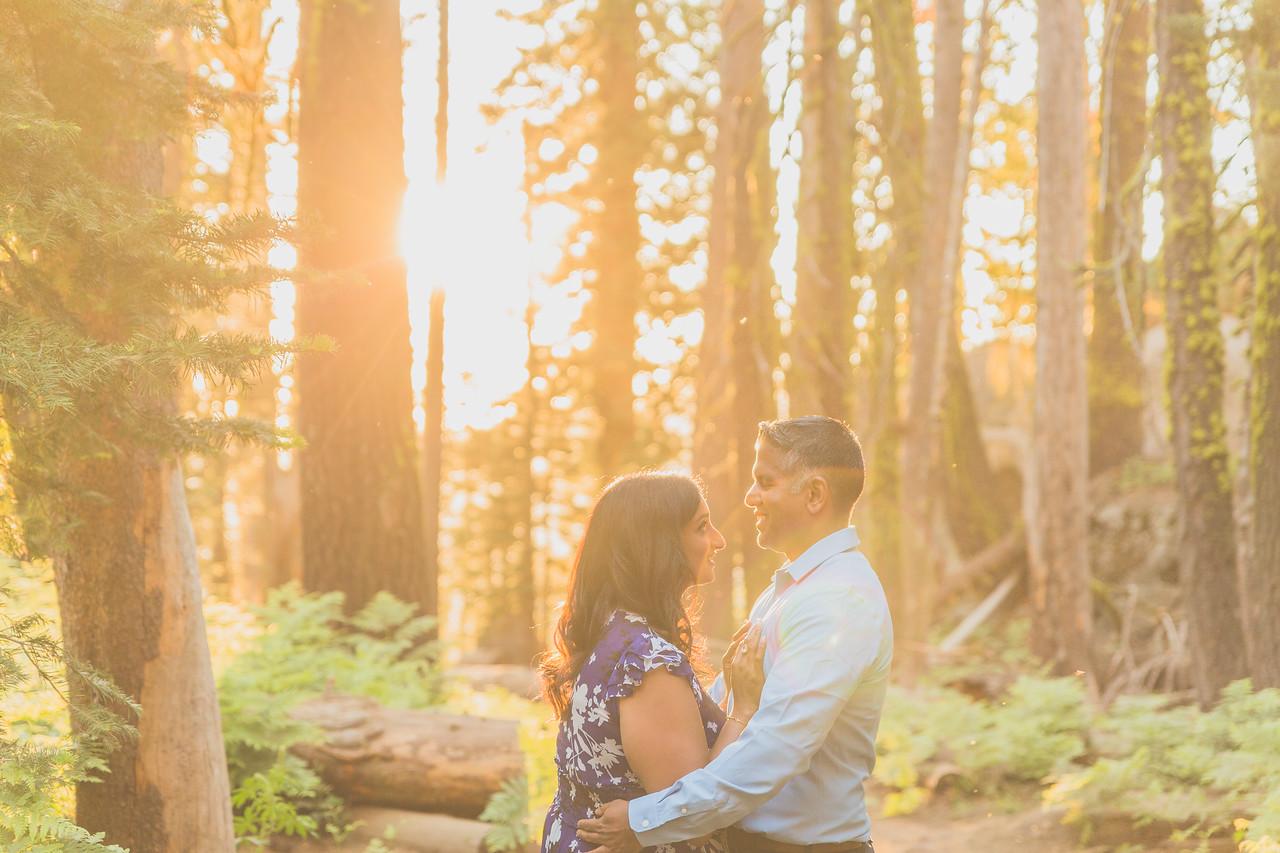 The Wedding Website of Mariann Chelampath and Roy Jacob