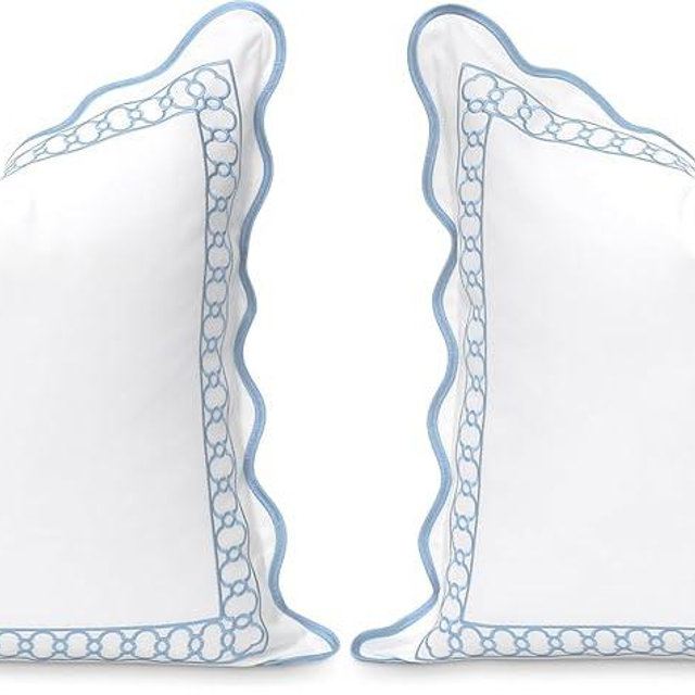Hofdeco Premium Coastal Patio Indoor Outdoor Scalloped Throw Pillow Cover Only, 20"x20" Water Repellent for Backyard, Couch, Baby Blue Embroidered Begonia Pattern Chain Frame (Pack of 2)