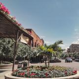 The Old Market