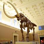 Buffalo Museum of Science