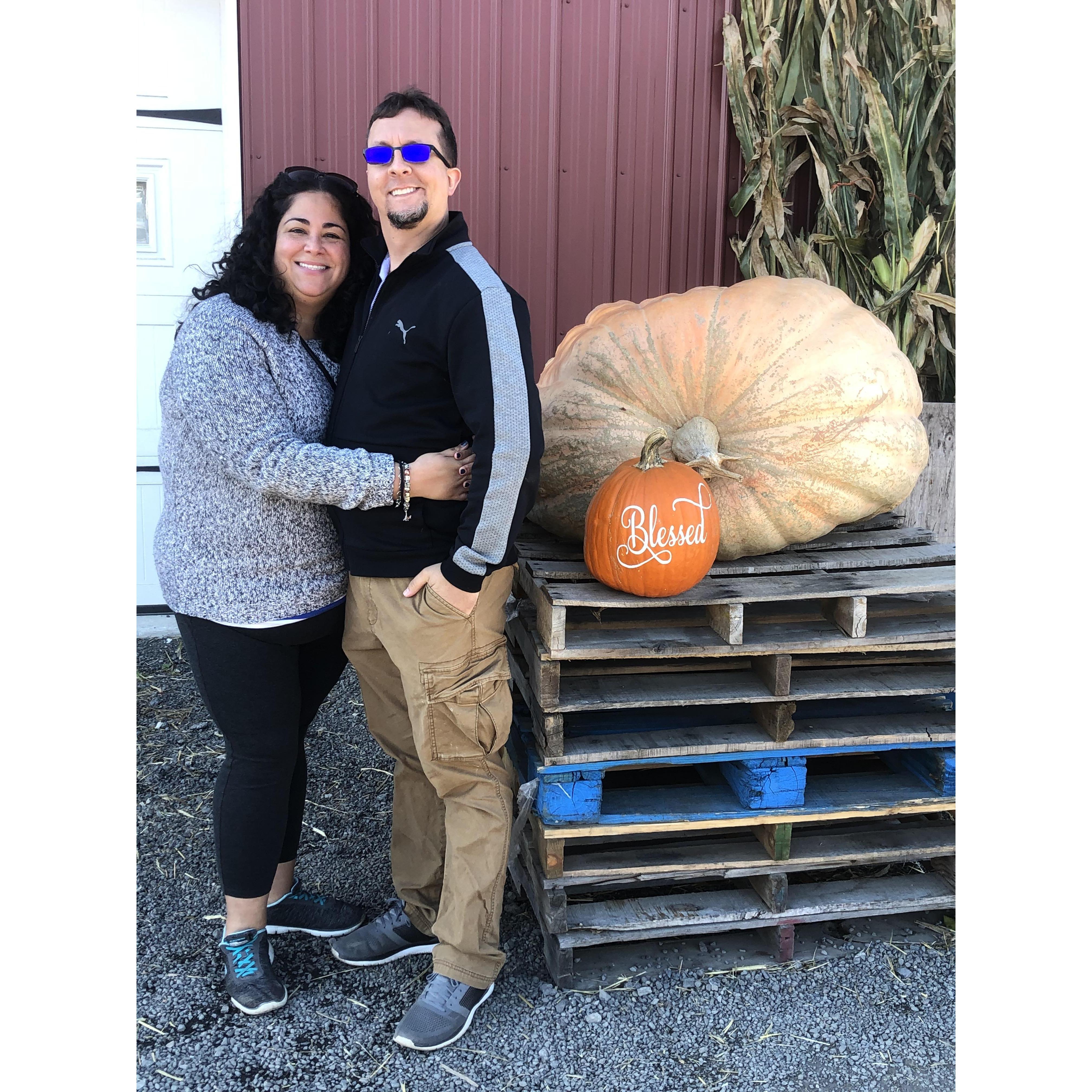 Mazezilla at Klinger Farms
Saylorsburg, PA
October 2020