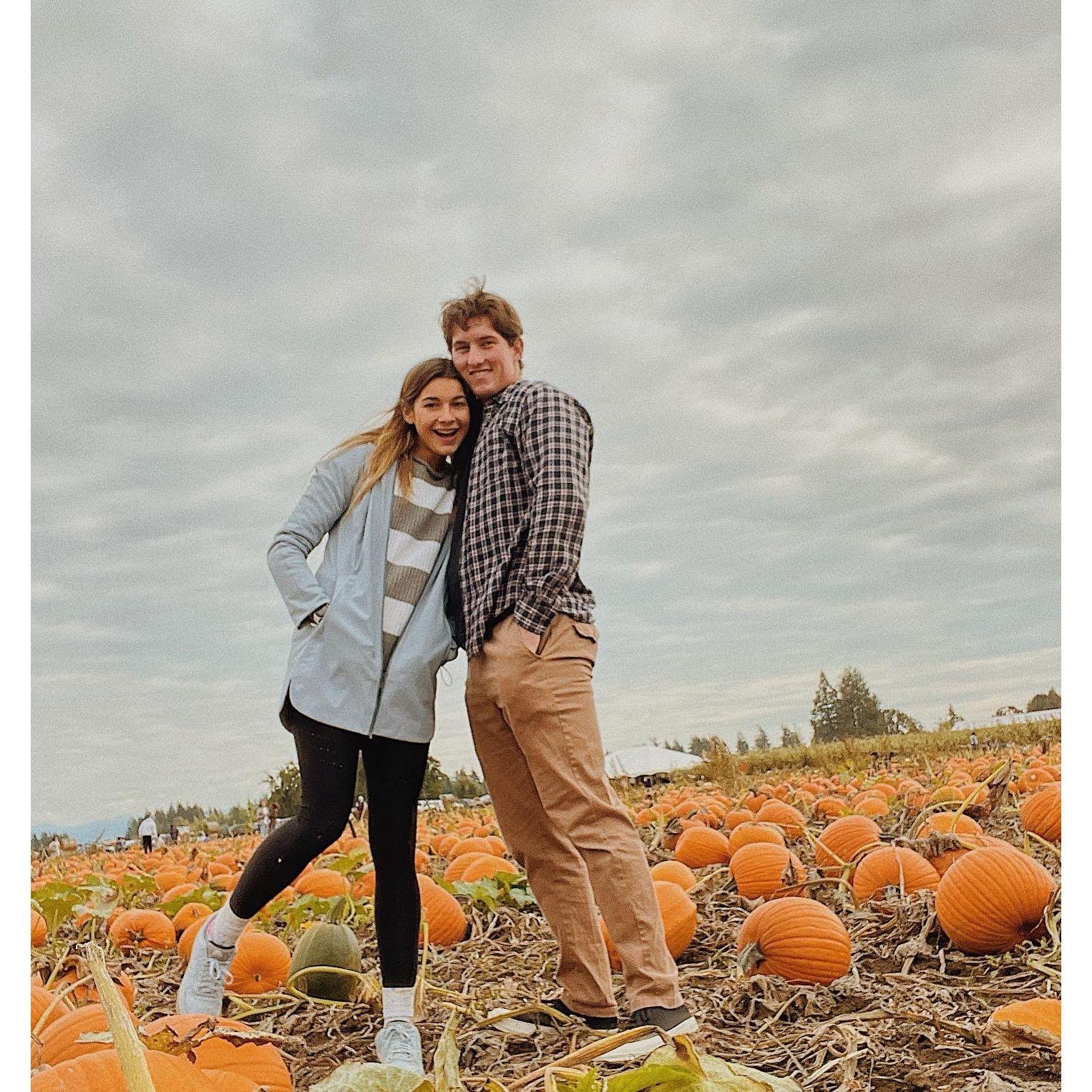Pumpkin Patch, October 2022