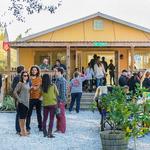 Bayou Teche Brewing