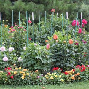 Garden Fund