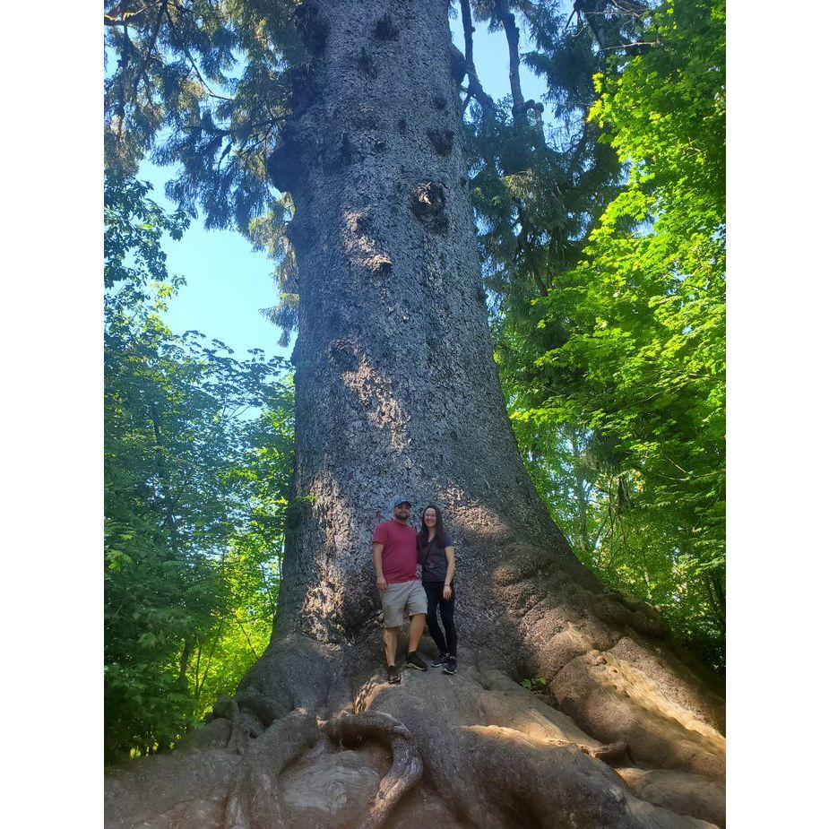 Quinault lake, WA!