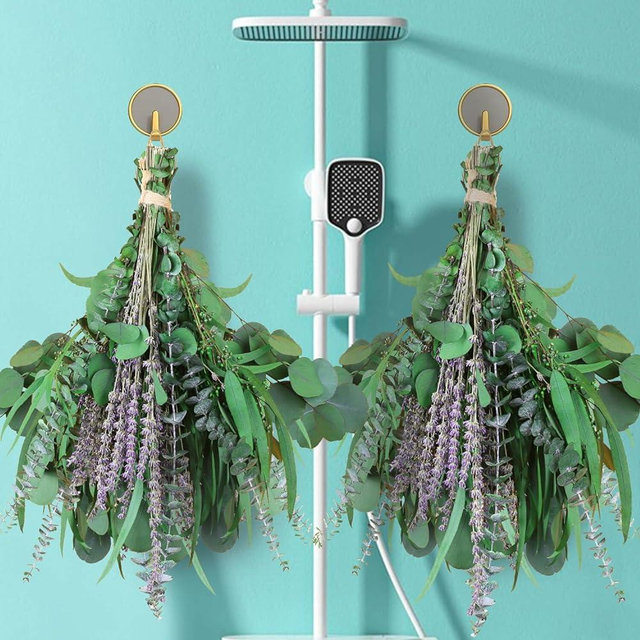 2 Bundles Dried Eucalyptus & Lavender Flowers for Shower, 100 pcs 17'' Natural Real Hanging Silver Dollar Eucalyptus Leaves Stems,Fresh Shower Plants Fragrance Home Bathroom Decor
