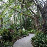 Harry P Leu Gardens