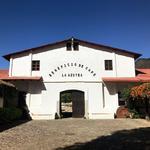 Go on a Coffee Farm Tour!
