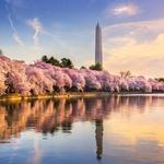 Tidal Basin