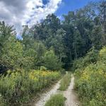 Myron and Sonya Glassberg Family Conservation Area