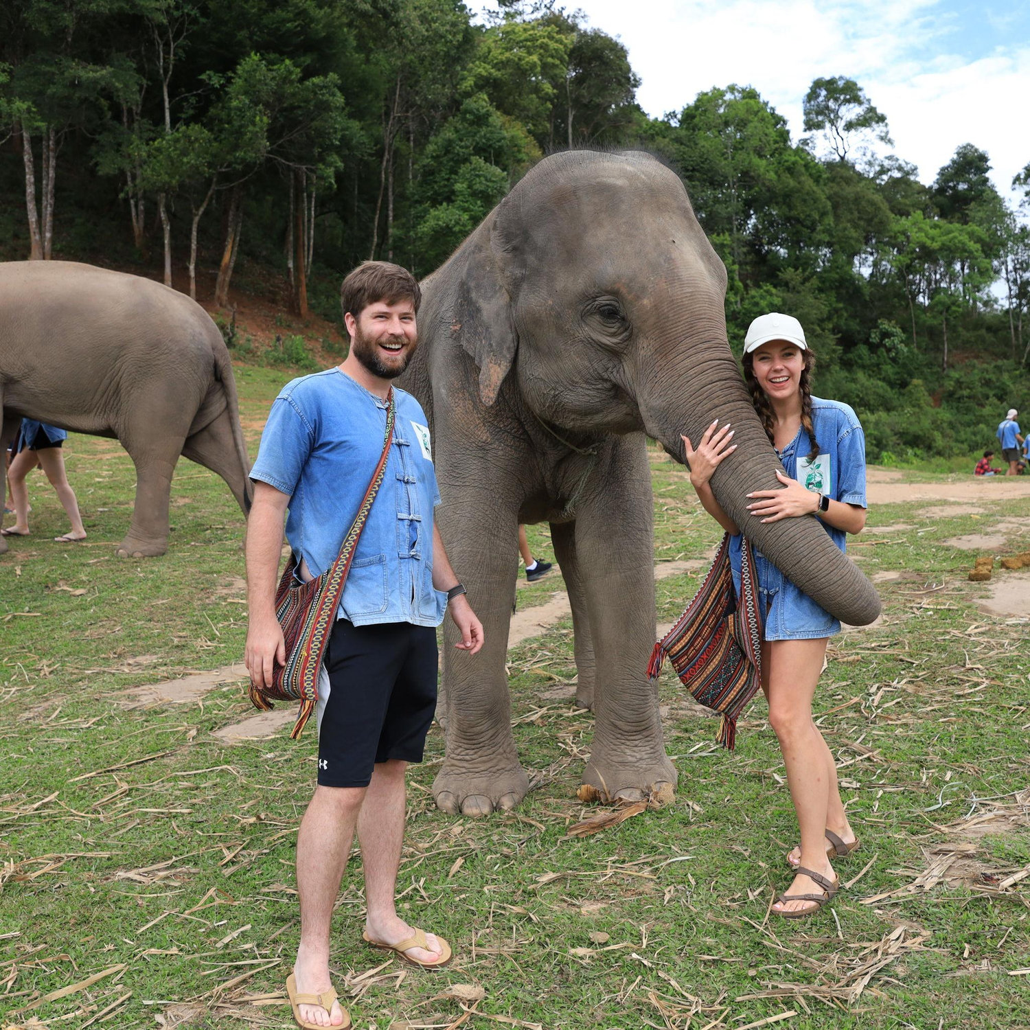 feeding and snuggling elephants in thailand before it robbed tucker