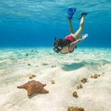 Snorkeling at coral reefs