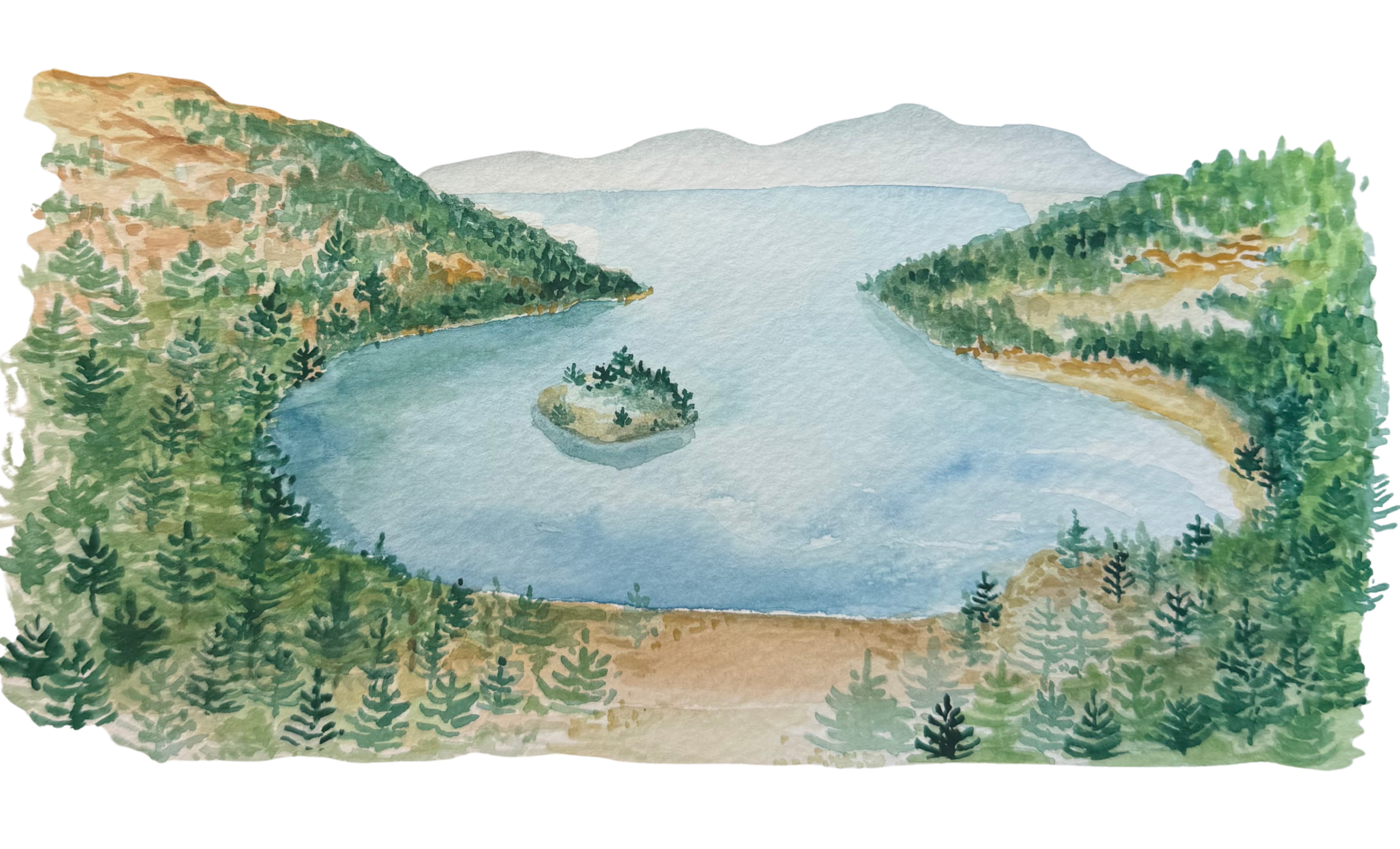 The Wedding Website of Amy Harmon and Mitchell Olinger